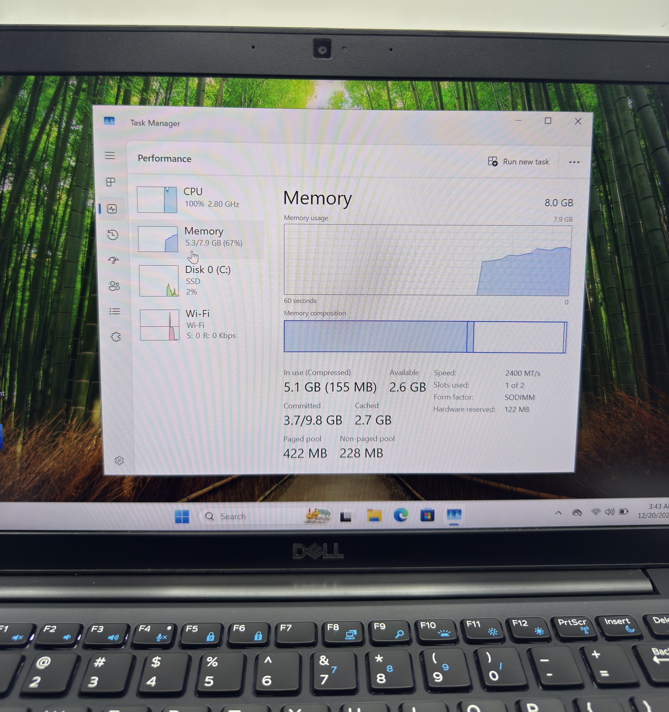 image_2D8458D0-E155-475F-9143-46B6D46C75DA_1766232244