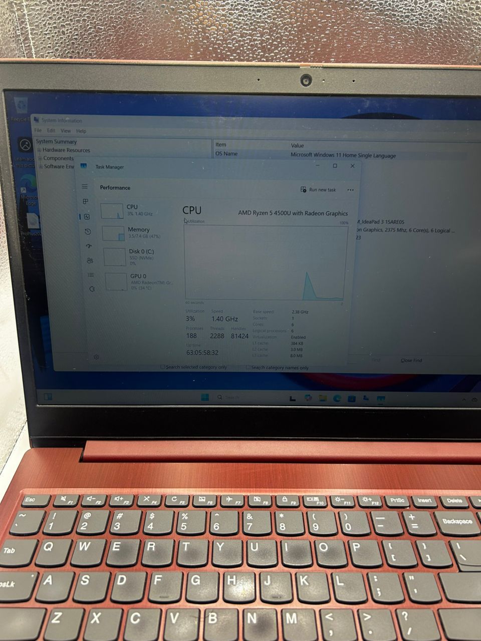 WhatsApp Image 2026-02-03 at 4.55.34 PM