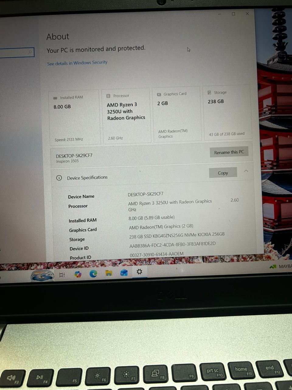 WhatsApp Image 2026-02-03 at 6.10.23 PM