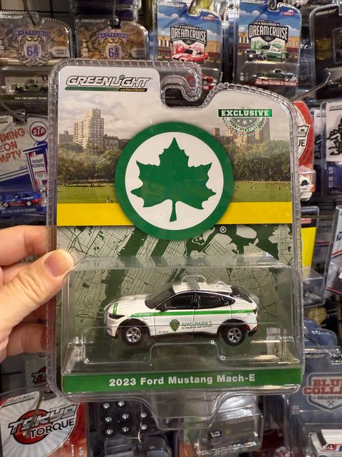 image_86CDB2F0-D889-4B31-92E7-C98F24866F48_1765180350