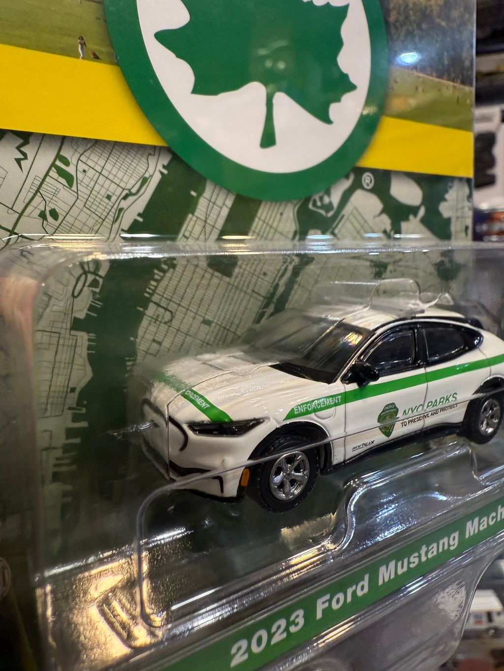 image_E235F8FC-EB25-4312-912A-6727CEE69219_1765180350