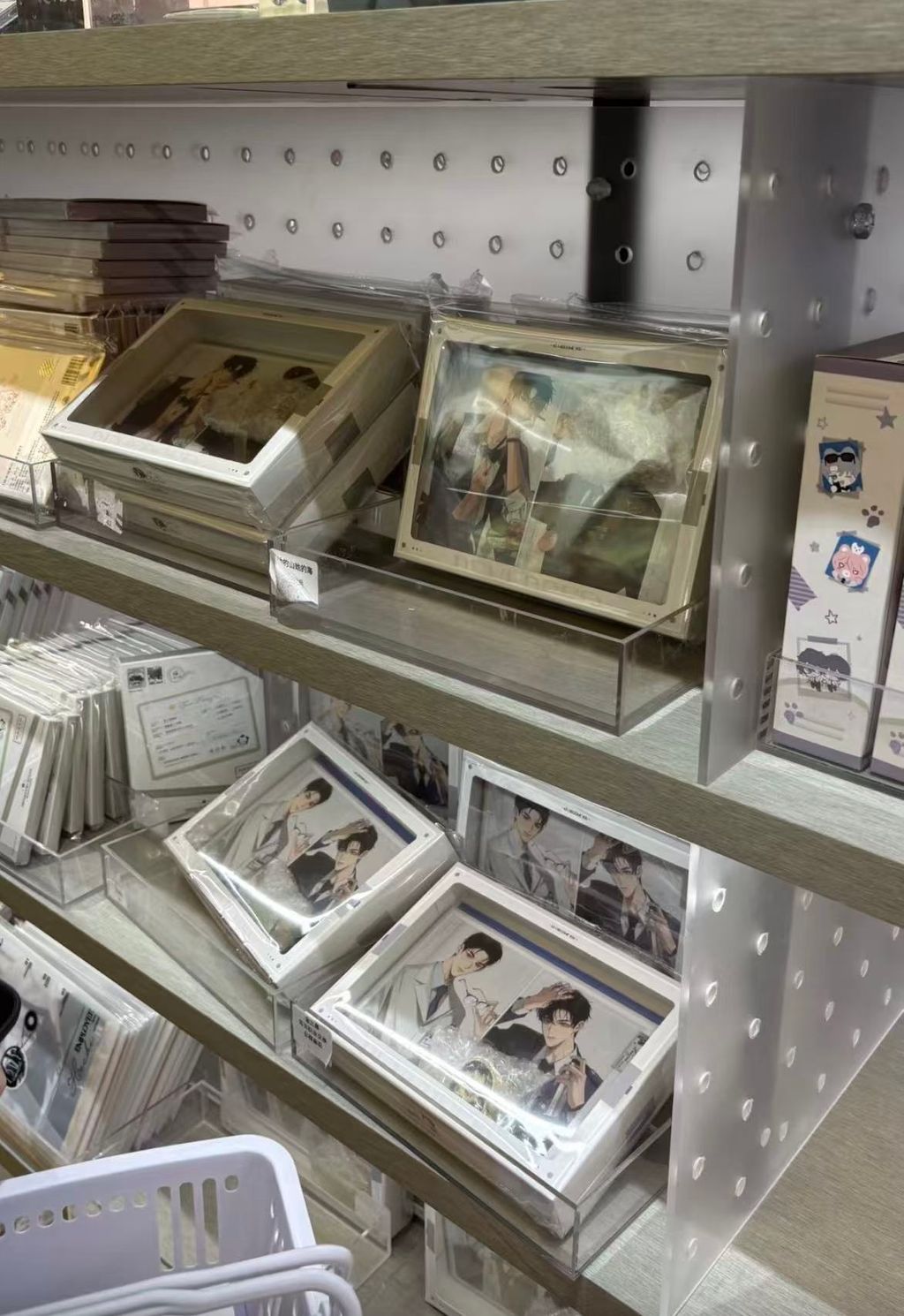 微信圖片_20260302231458_5069_187