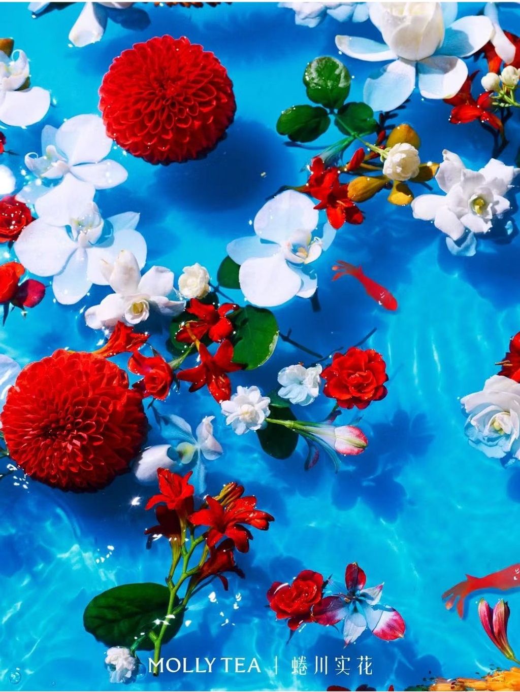 tw-11134207-820lc-mm0cdddtekg2ec