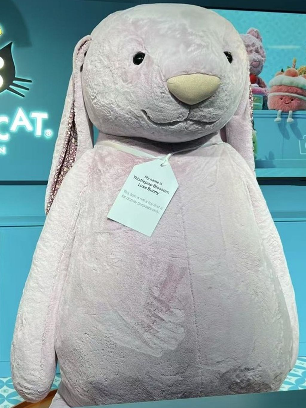 tw-11134207-81ztq-mee3wcllvrwgf1