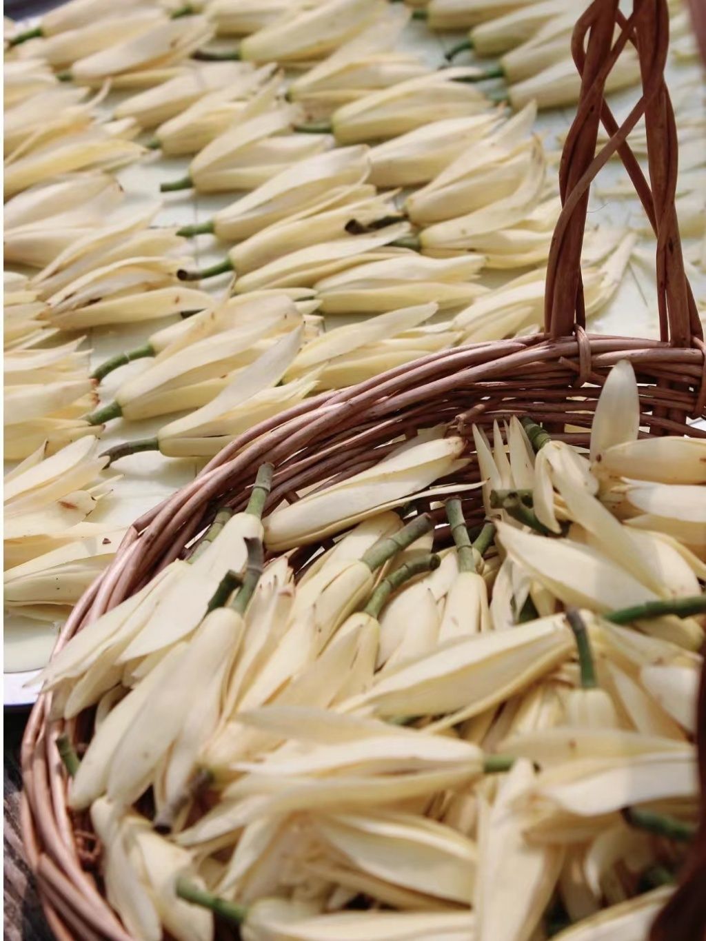 tw-11134207-7r98z-lsmzodmmimky1b