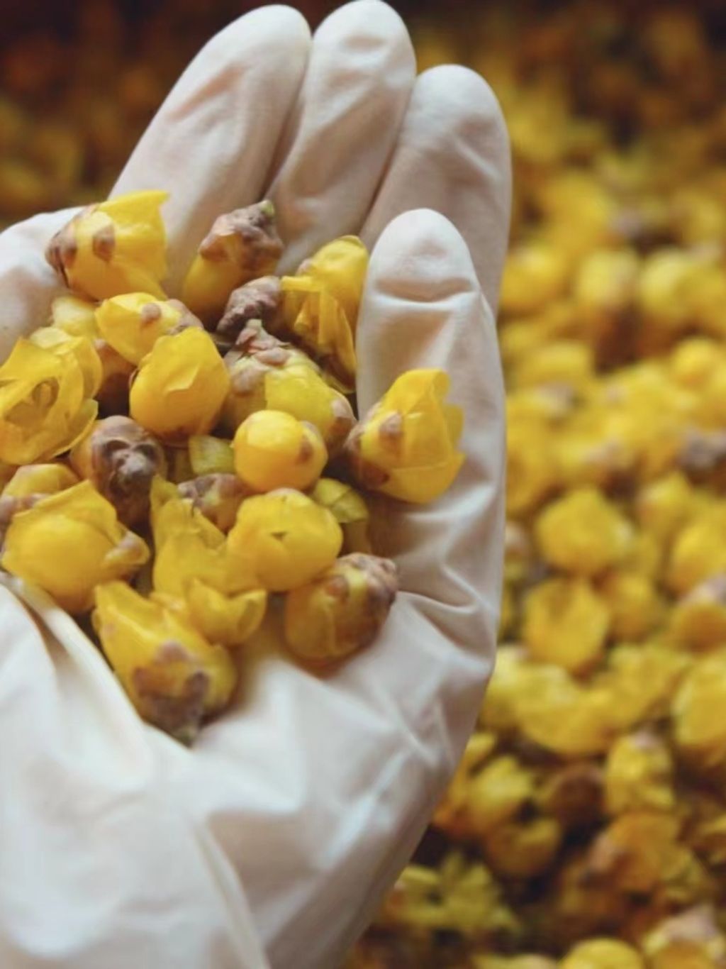 tw-11134207-7r98v-lsmzodmm5zgy36