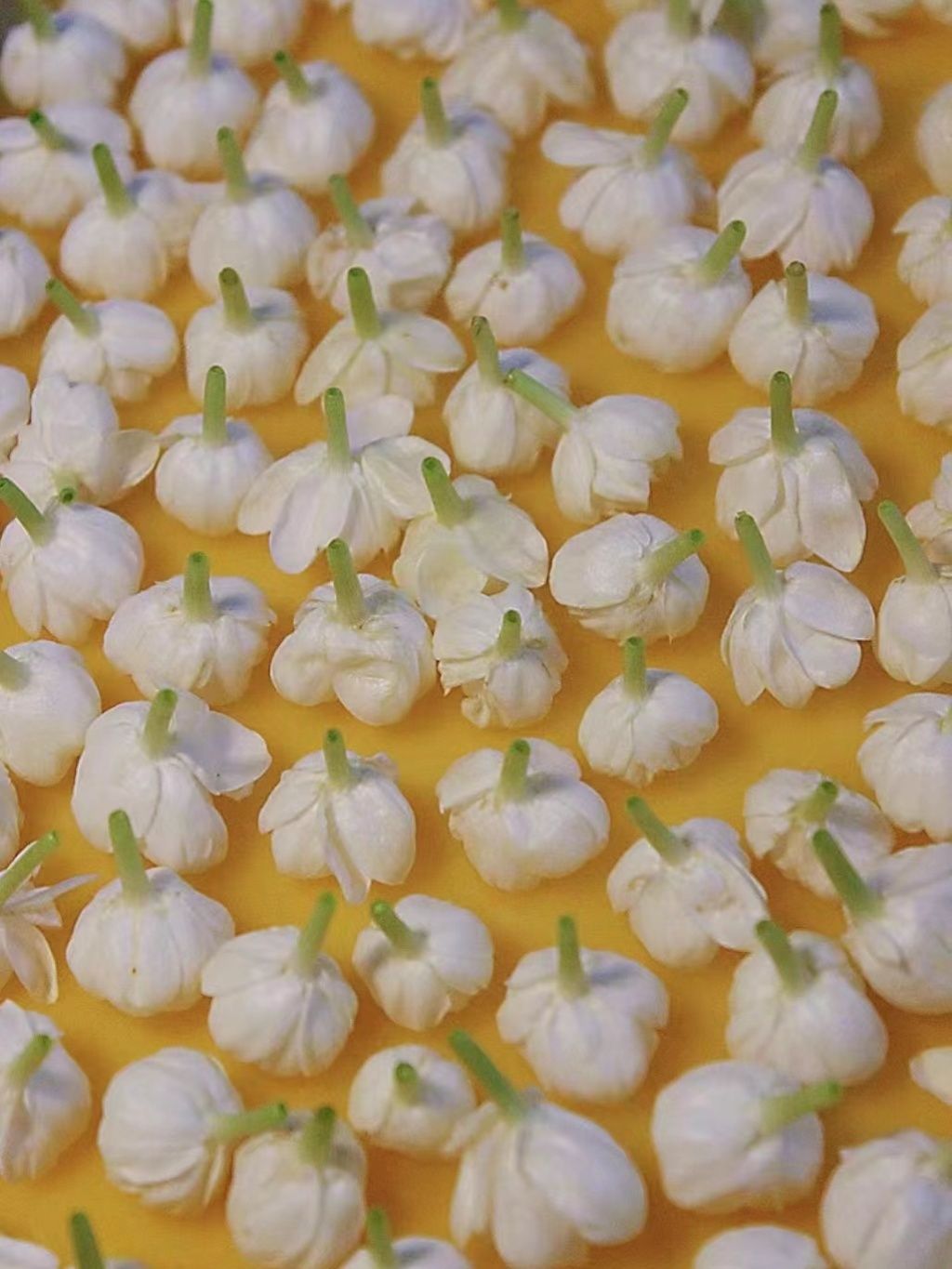 tw-11134207-7r98s-lsmzodmn0vyq3d