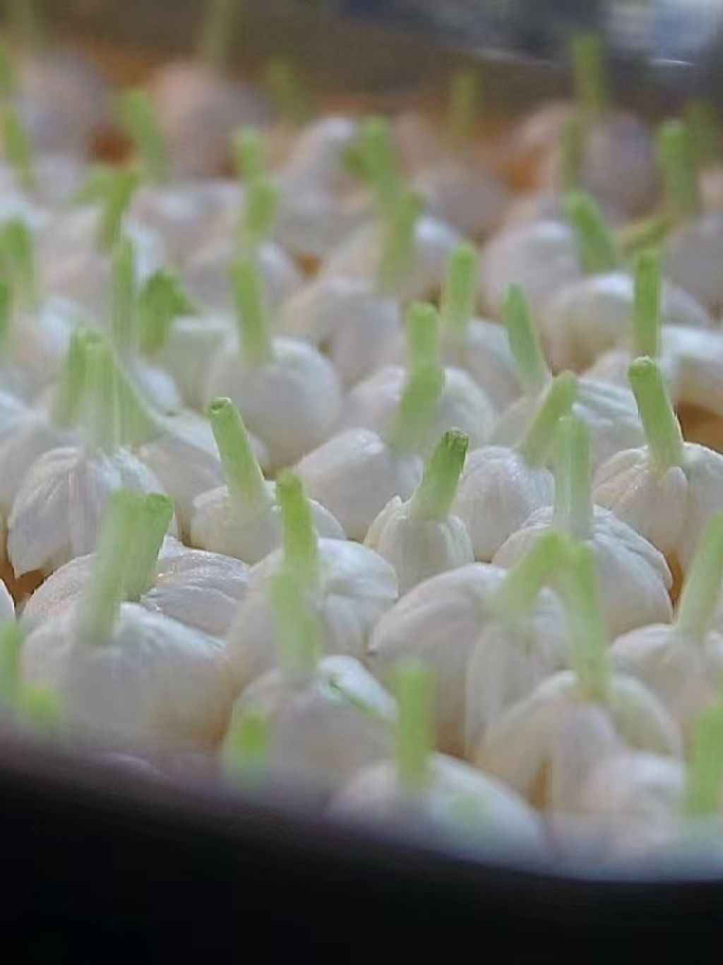 tw-11134207-7r992-lsmzodmmzheab3