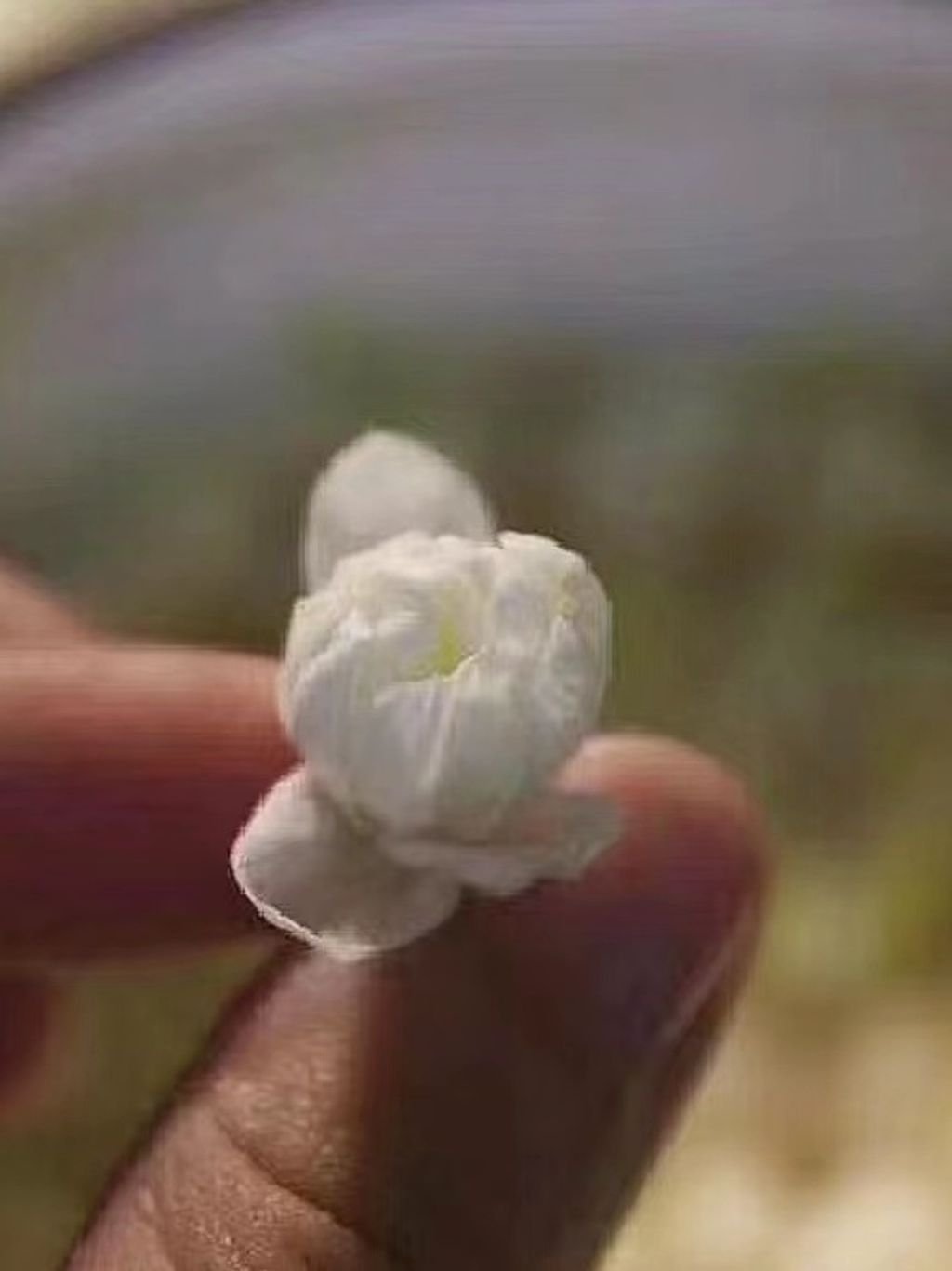 tw-11134207-7r98r-lsmzodmmy2tu93