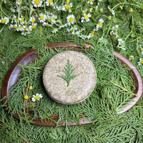 tw-11134207-7rasm-m66qa1e7xv2w68