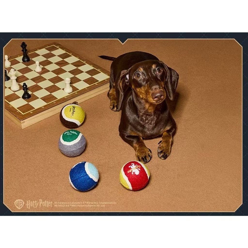 tw-11134207-7rasg-m4abpgw0shvkbf