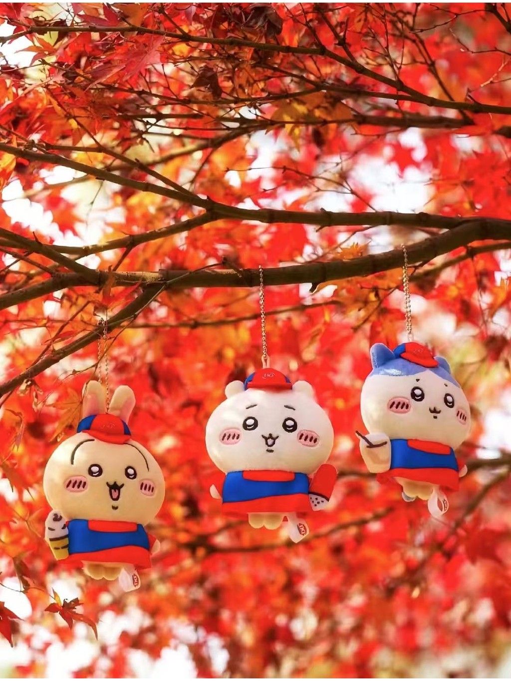 tw-11134207-7rasg-m41gfqfzjqefde