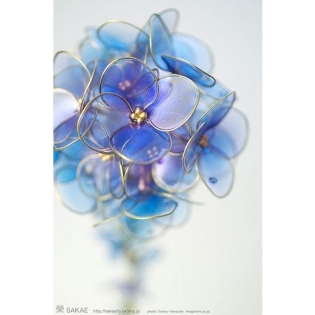 2d1b76960eb43e02b6160dd014b5fc91