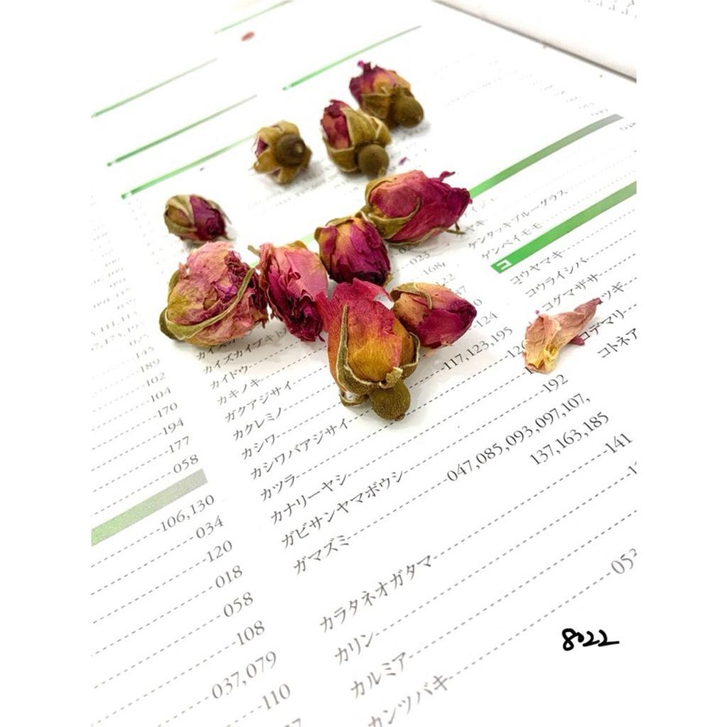 tw-11134207-7r98r-lxkmwa0agzs6d7