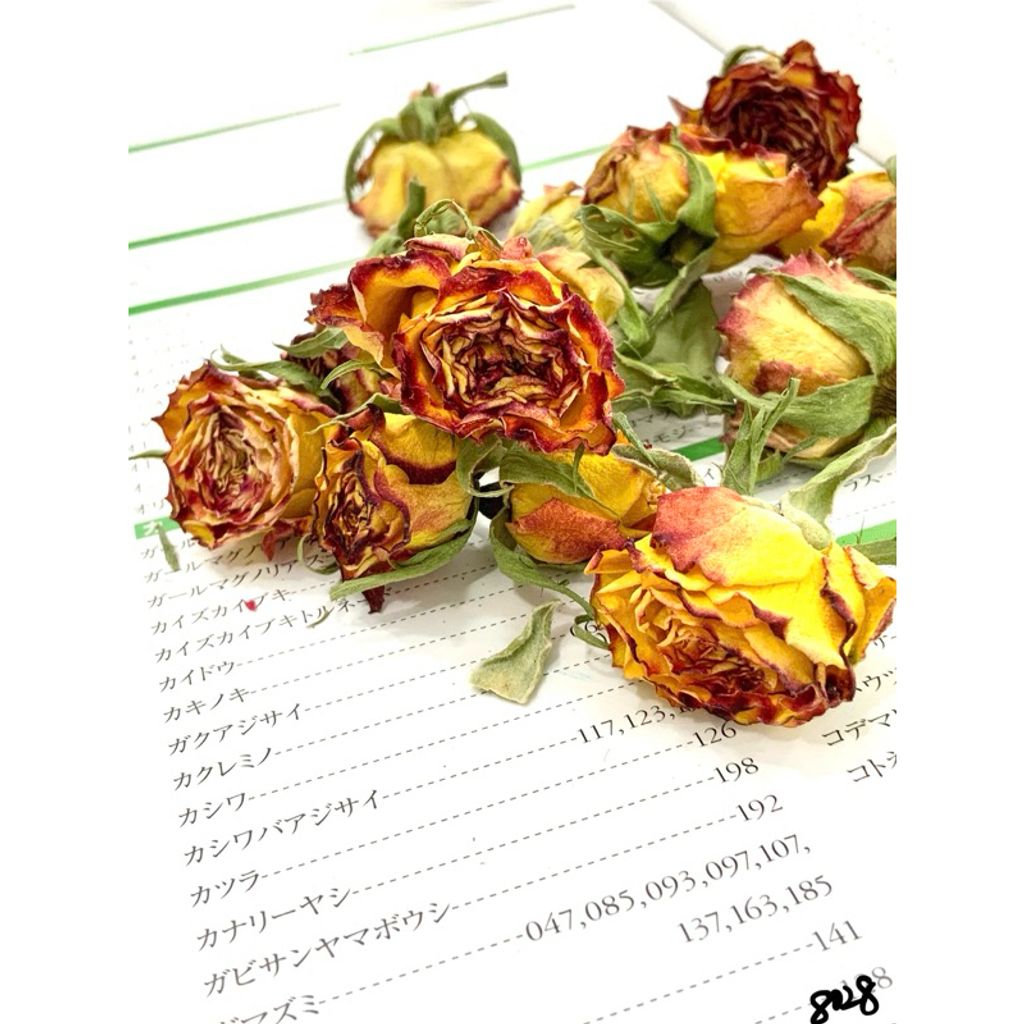 tw-11134207-7r98q-lxknaqhqrleu00