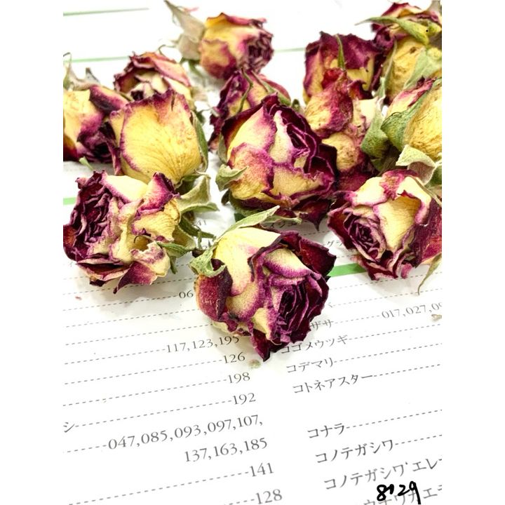 tw-11134207-7r98r-lxkmw9zhbpk6de