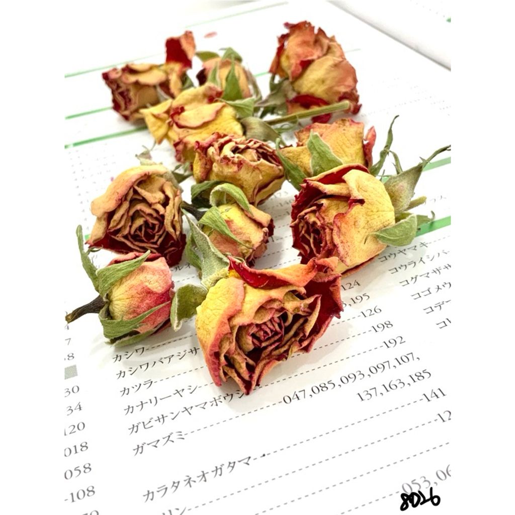 tw-11134207-7r98q-lxkmw9zggsvk6b