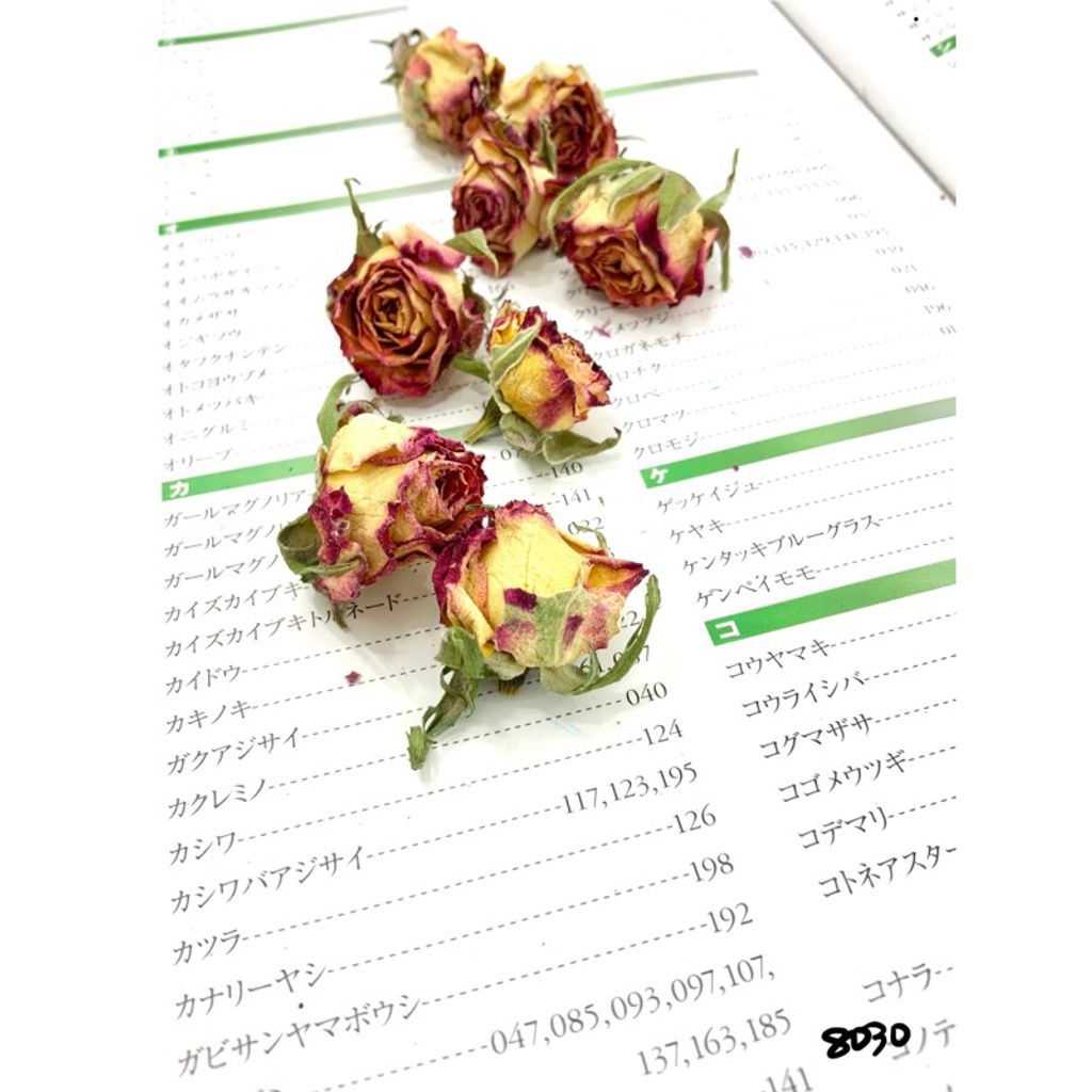 tw-11134207-7r98v-lxkmw9zgw94g5f