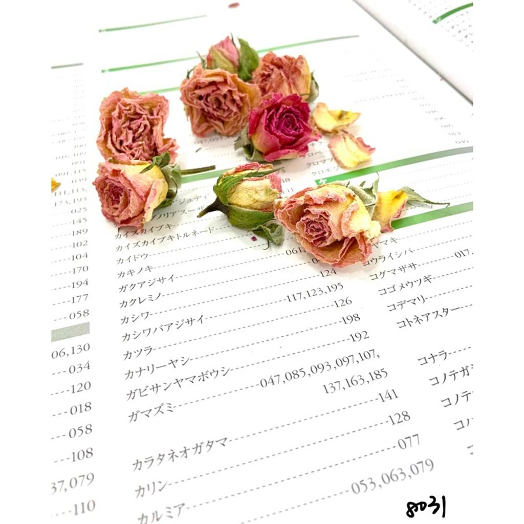 tw-11134207-7r98u-lxkmw9zqge9c1e