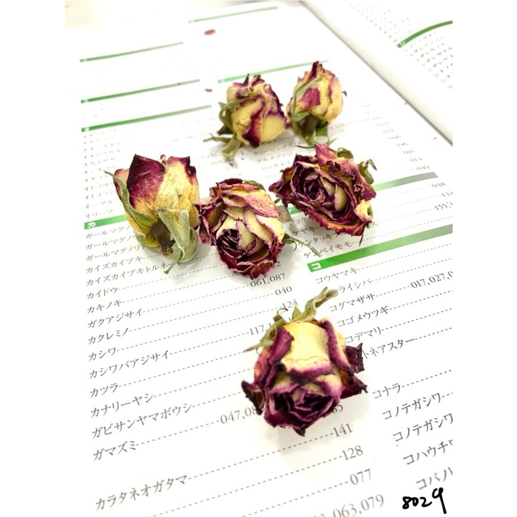 tw-11134207-7r98t-lxkmwa0afl7q71