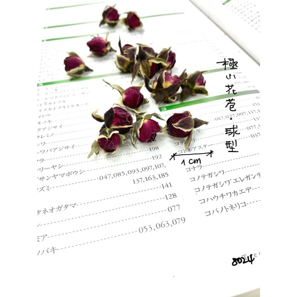 tw-11134207-7r991-lxkmwa0ug6cw8d