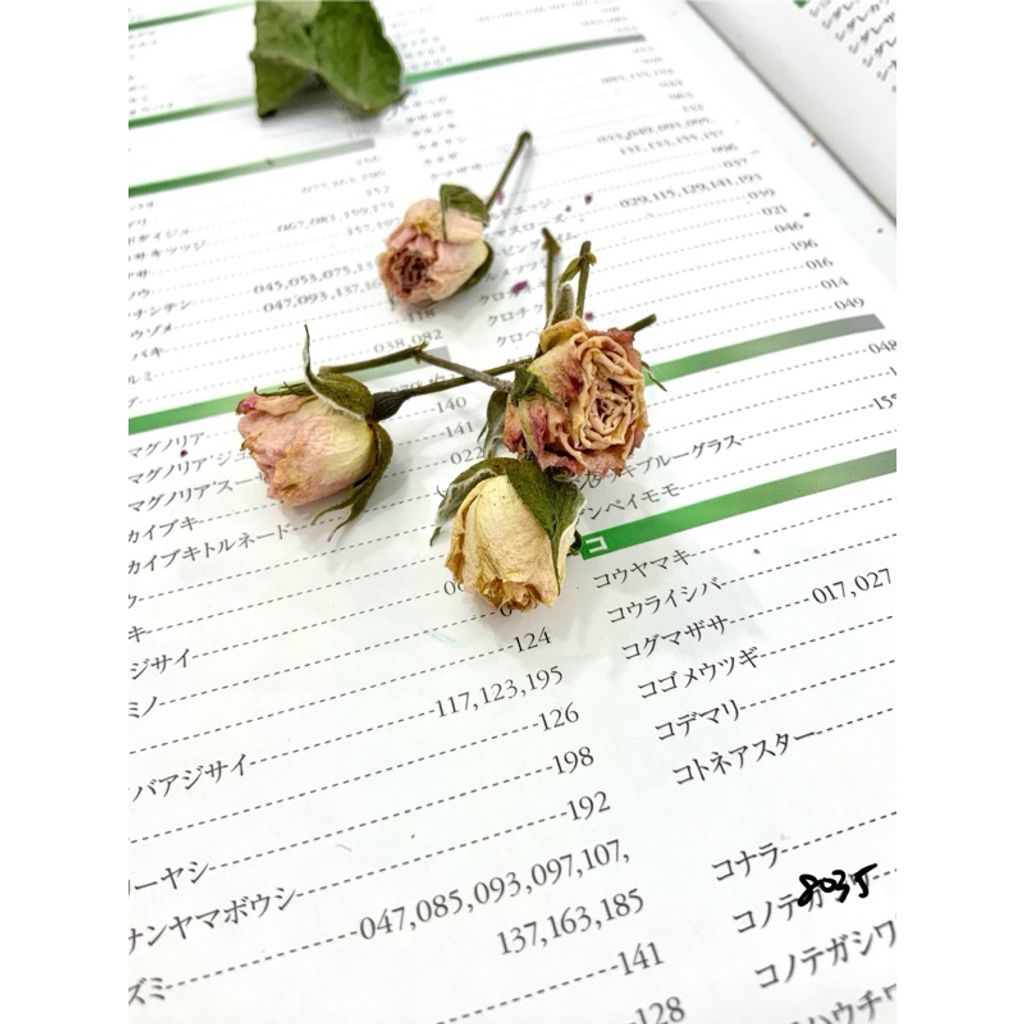 tw-11134207-7r98q-lxkmw9zgi7g05a