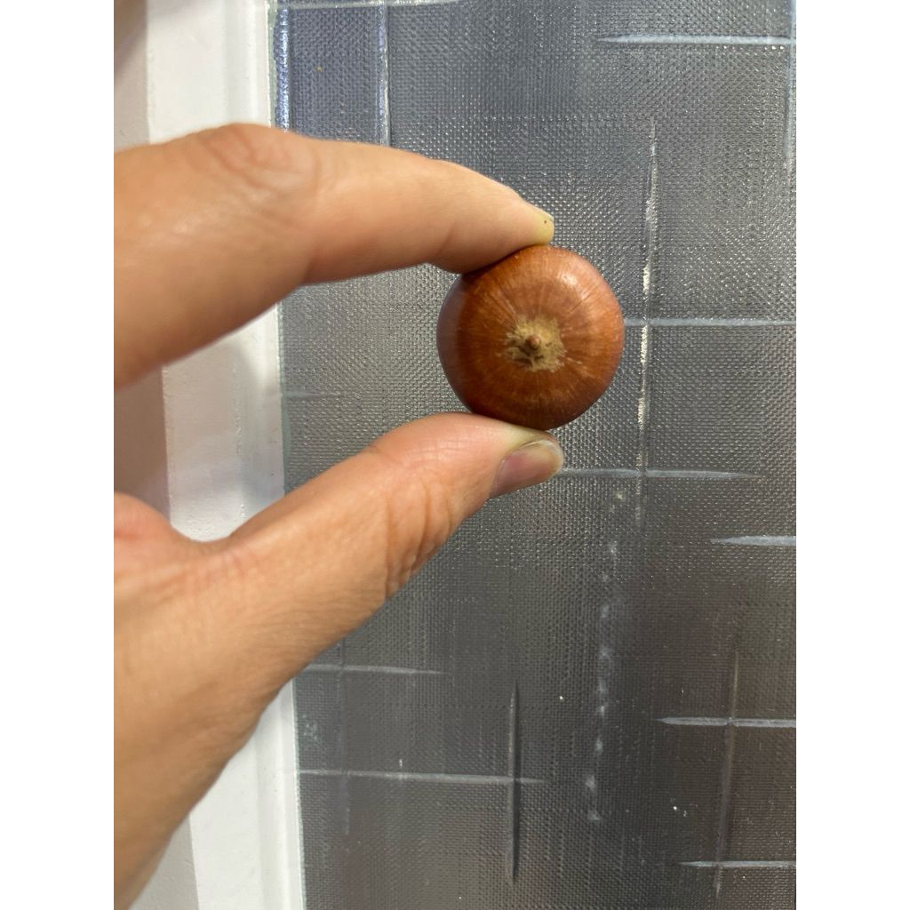 tw-11134207-81ztf-mh1n5n00zll5d0