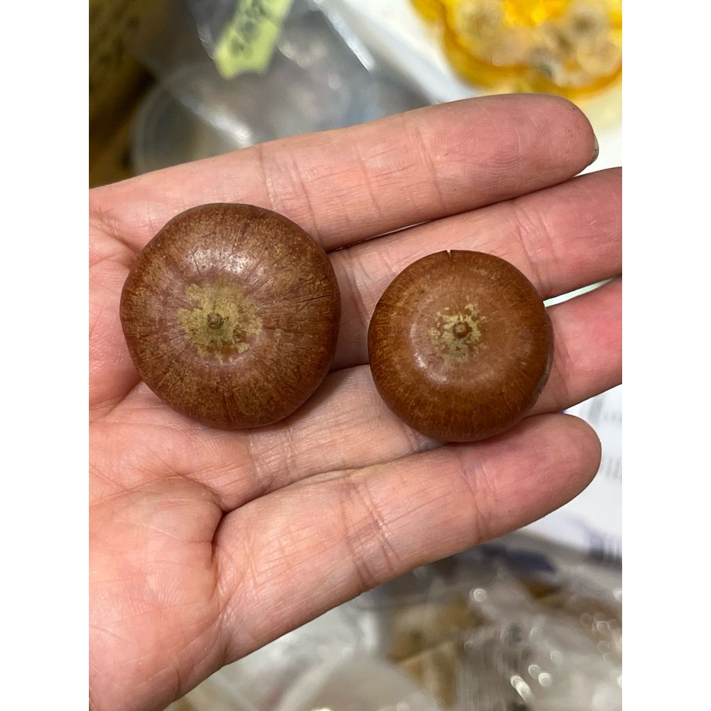 tw-11134207-81ztp-mh1nujo6795834