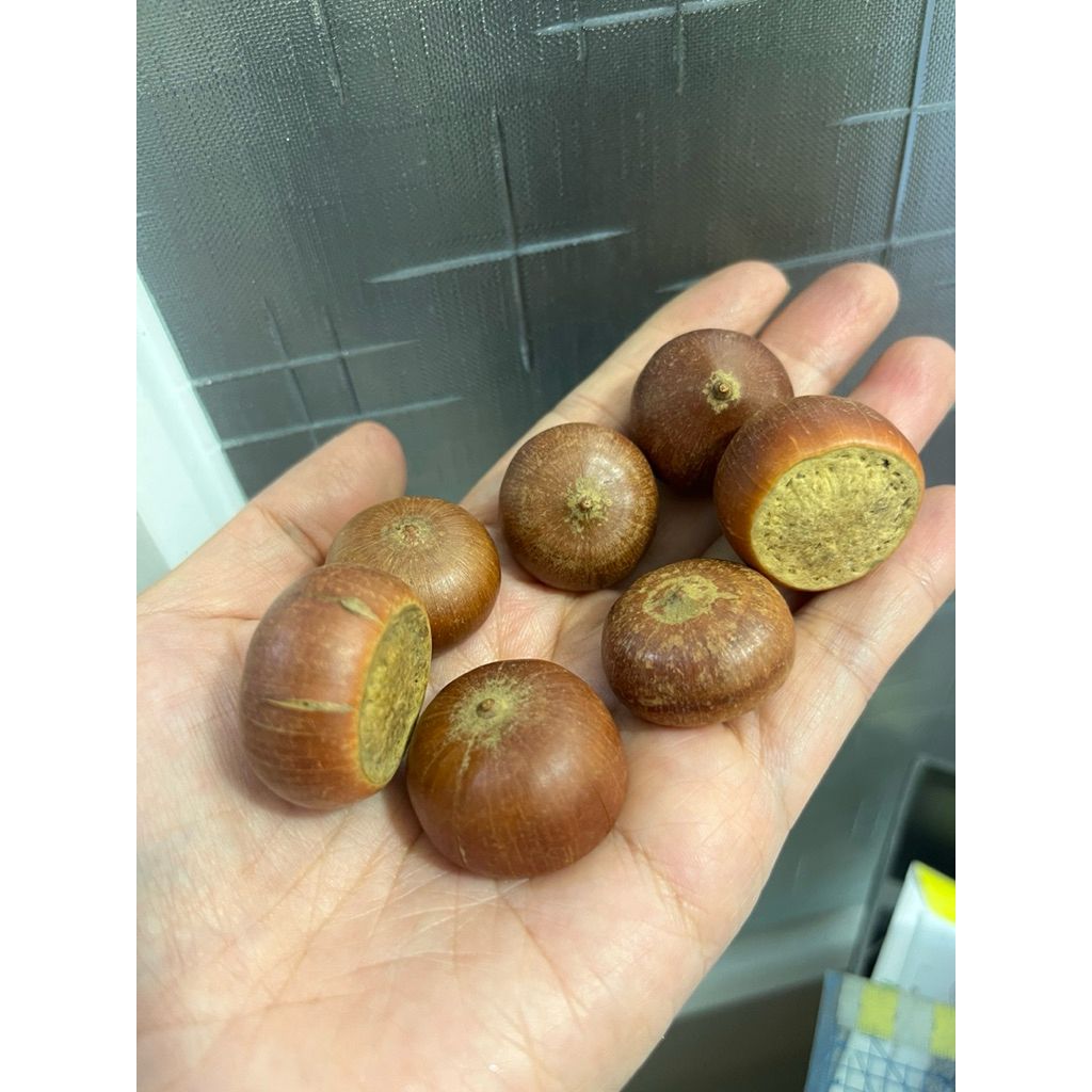 tw-11134207-81ztj-mh1n0q692o7e8b