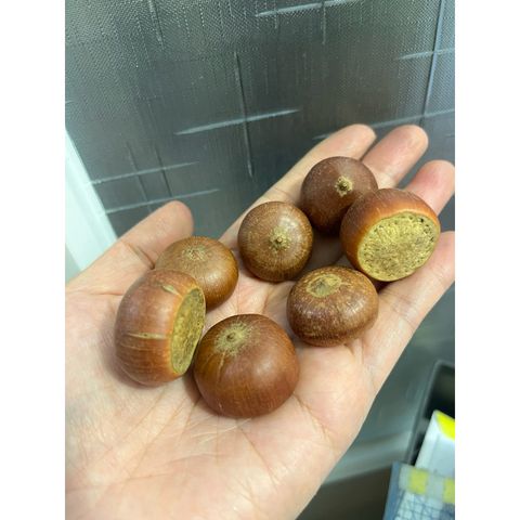 tw-11134207-81ztj-mh1n0q692o7e8b