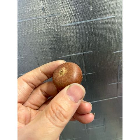 tw-11134207-81ztd-mh1n0q5vgg0f35