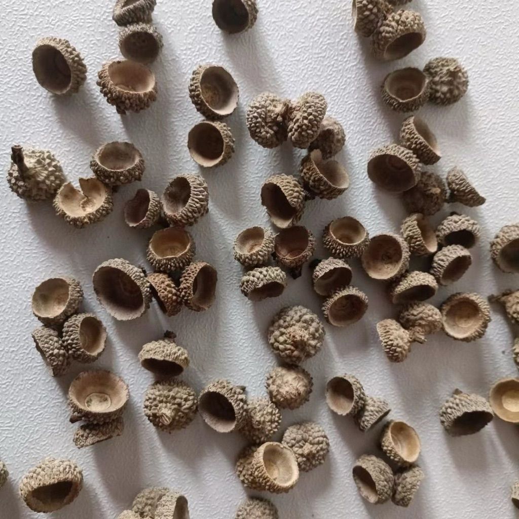 tw-11134207-81ztm-mh8lpx7xepzgca