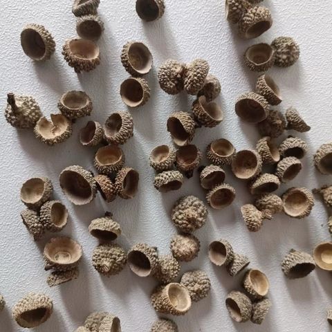 tw-11134207-81ztm-mh8lpx7xepzgca