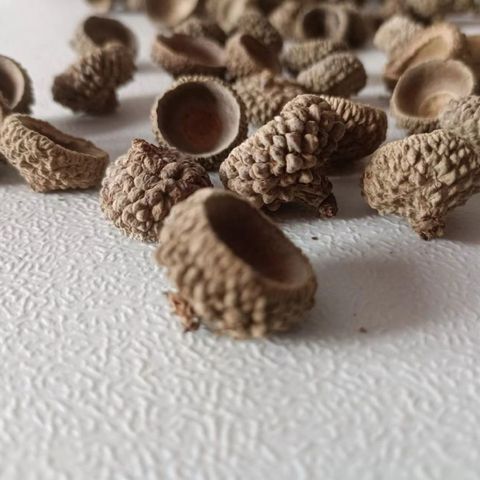 tw-11134207-81ztf-mh8lpx7f6qry32