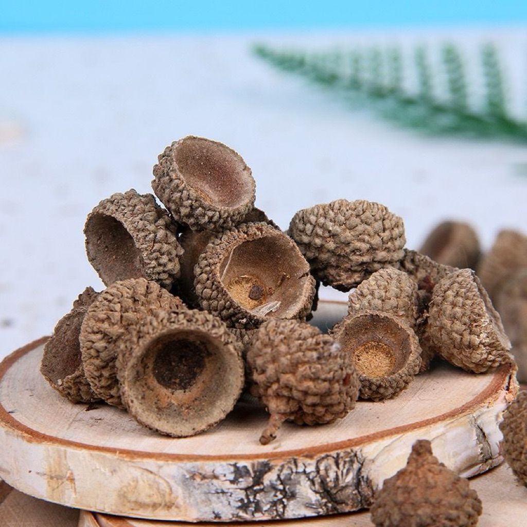 tw-11134207-81ztd-mh8lpx7u64uhf1