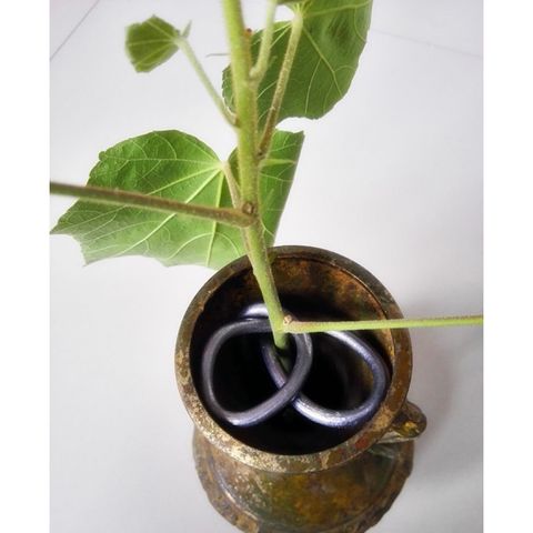 tw-11134207-81ztl-mh4axh8lu1hre4