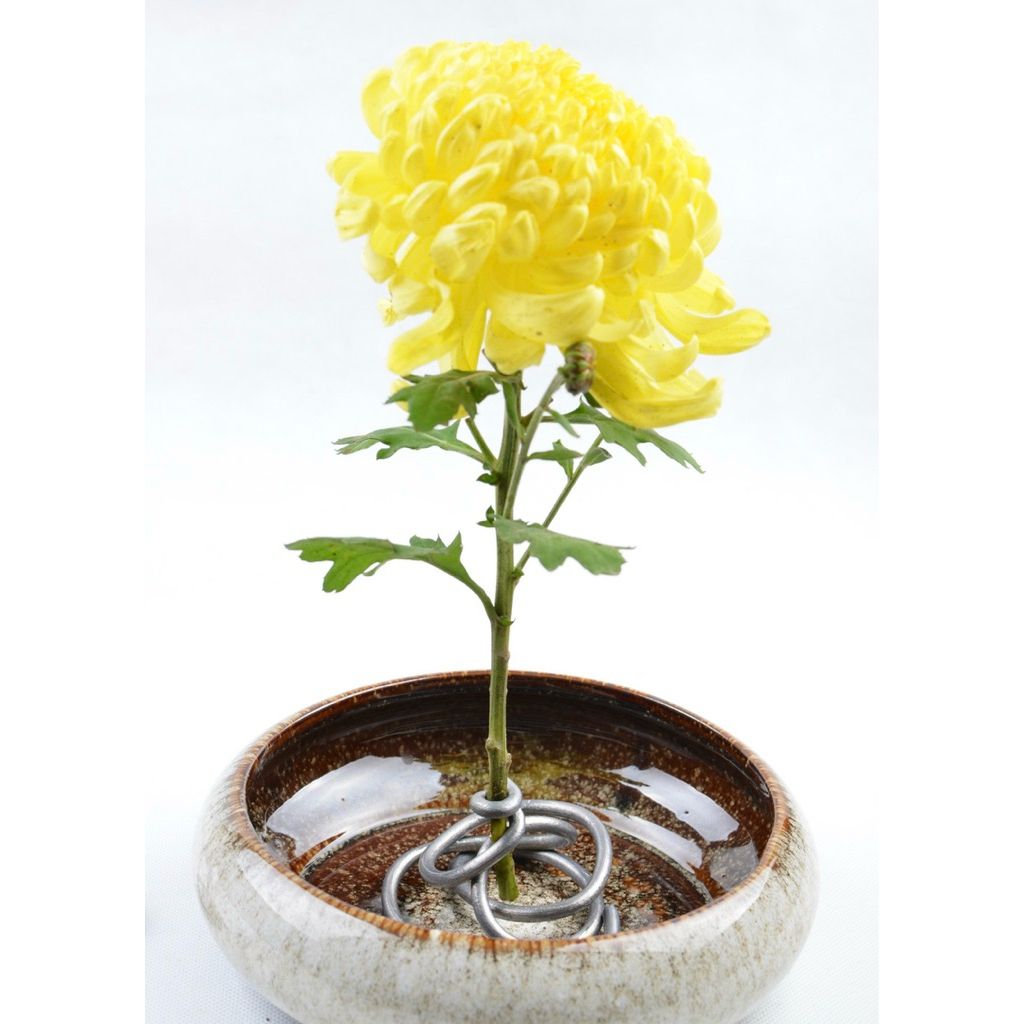 tw-11134207-81ztm-mh4axh8lsmxb4d