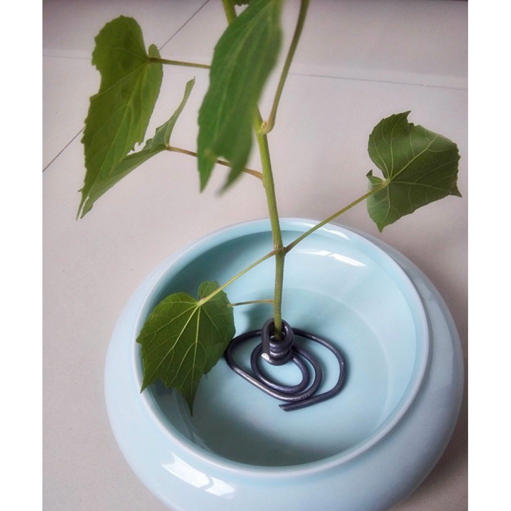 tw-11134207-81ztq-mh4axh89p6vh95