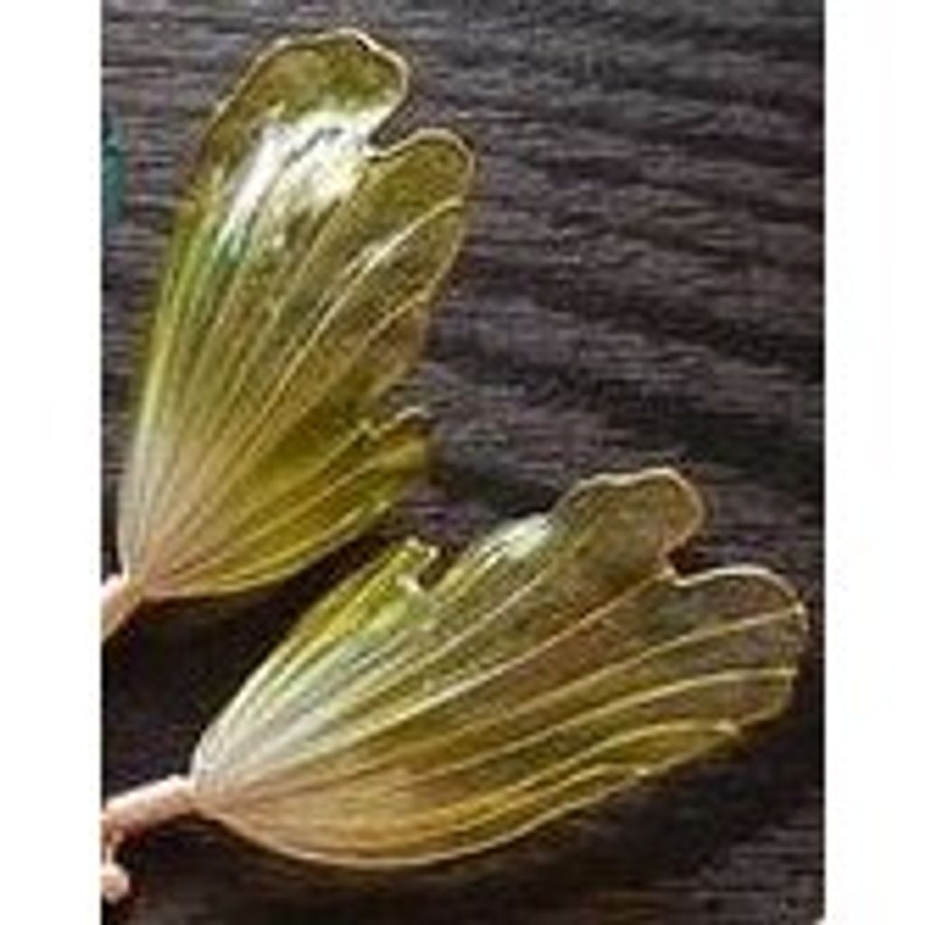 tw-11134207-7r98r-lxflv0wtzup289