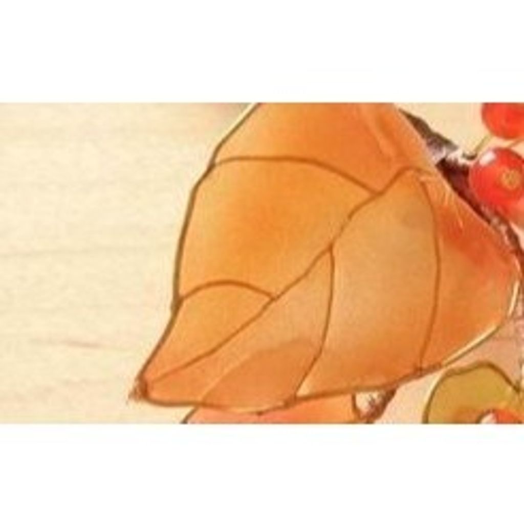 tw-11134207-7r98s-lxflpuf0woxc2b