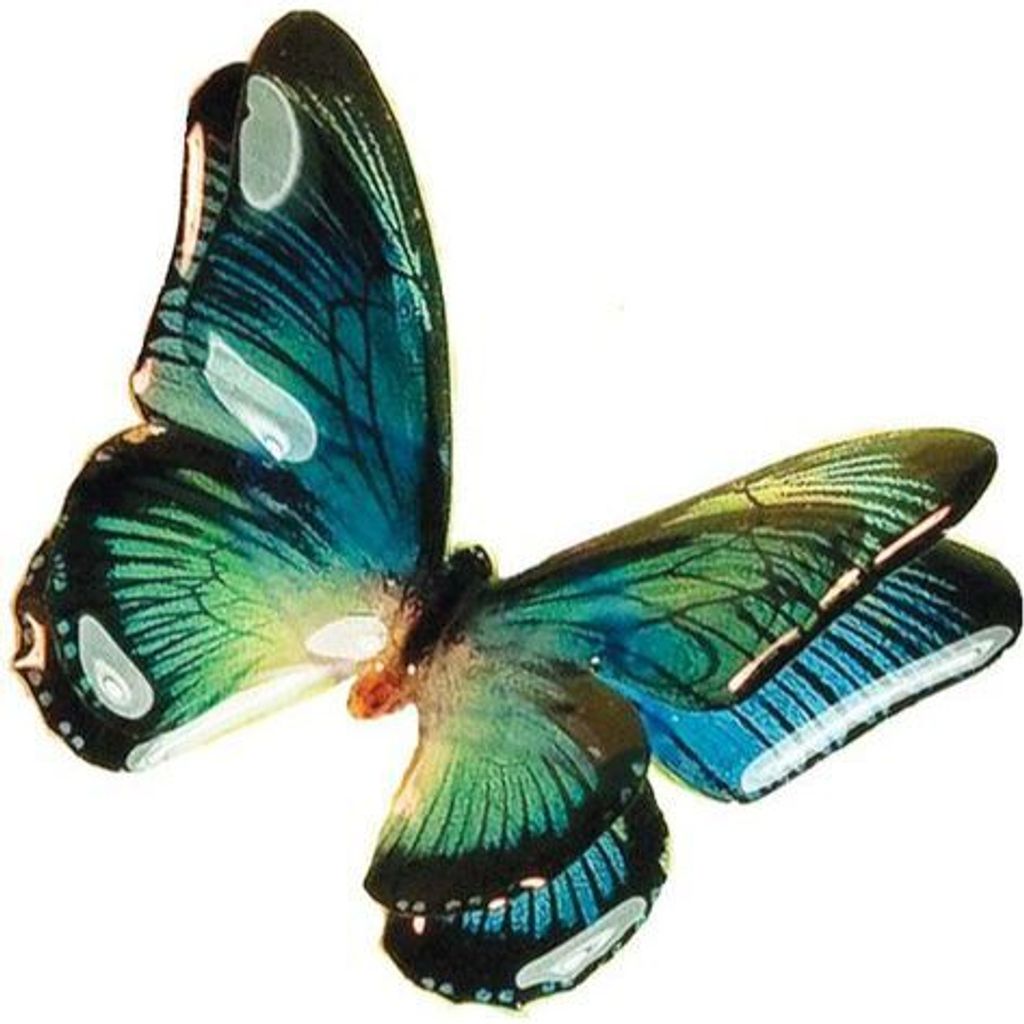 tw-11134207-7r98x-lxfm1p9uamna8e