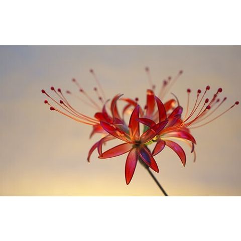 099c8b02b89368ca6241140b3906eb51