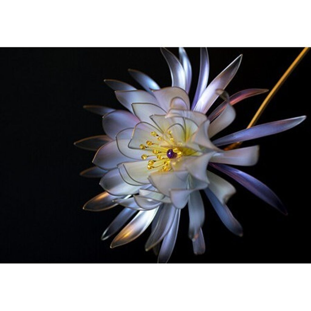 587d63b4cc547c48c479658d72d4c8ee