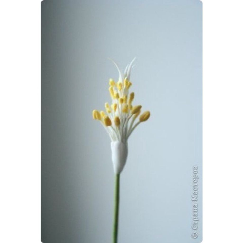 sg-11134201-22090-s3e6at0ogvhv25