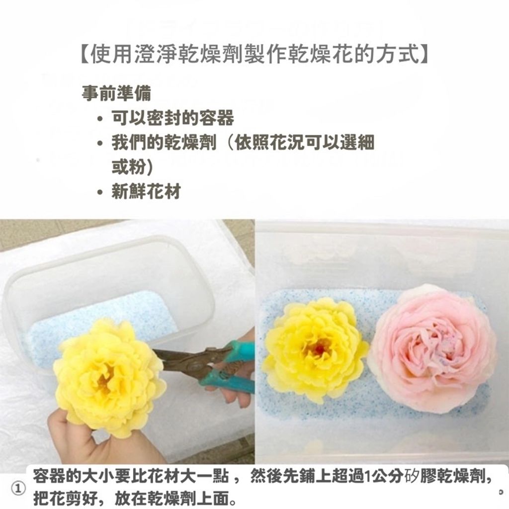 sg-11134201-22110-no3nfaz1uckvb2