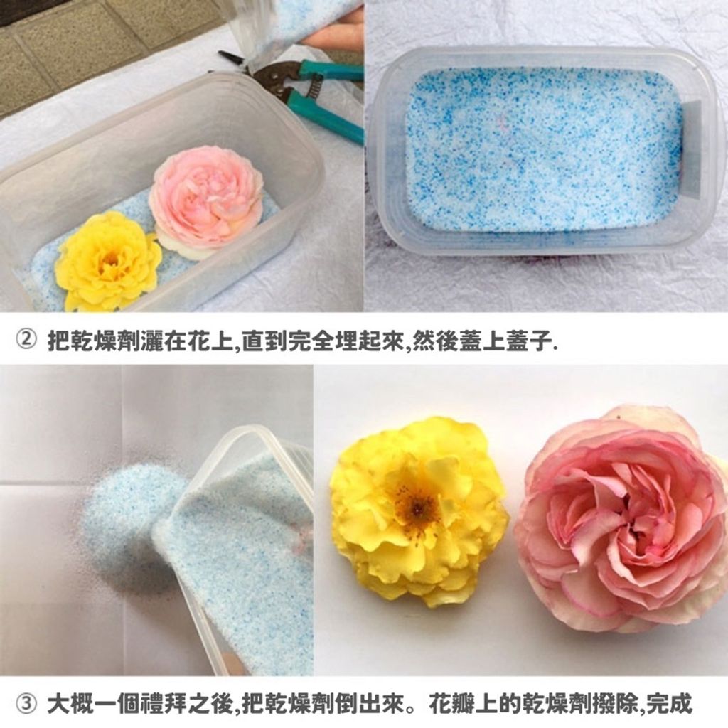 sg-11134201-22110-svulzaz1uckva6