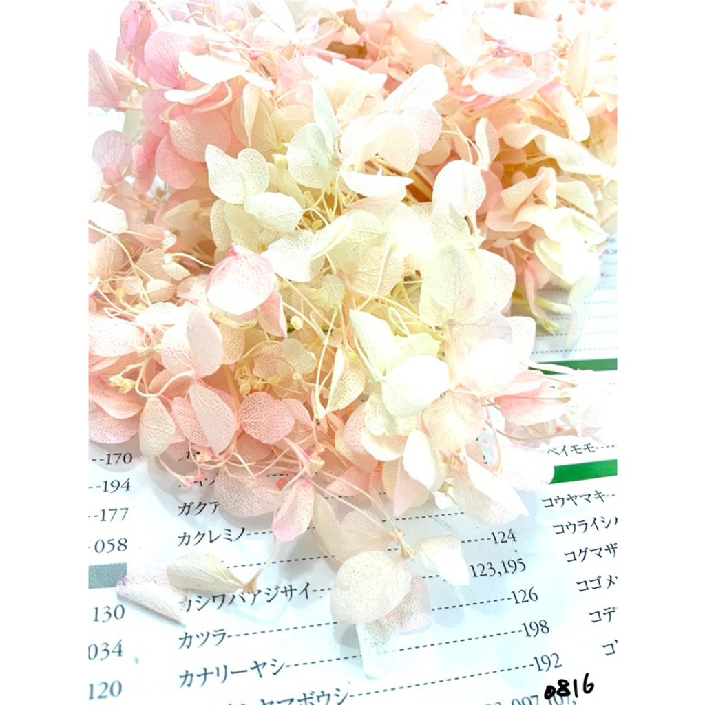 tw-11134207-7r98z-lxk05c2o53qo7c