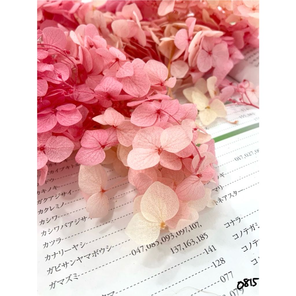 tw-11134207-7r98v-lxk05c2okk6e9f