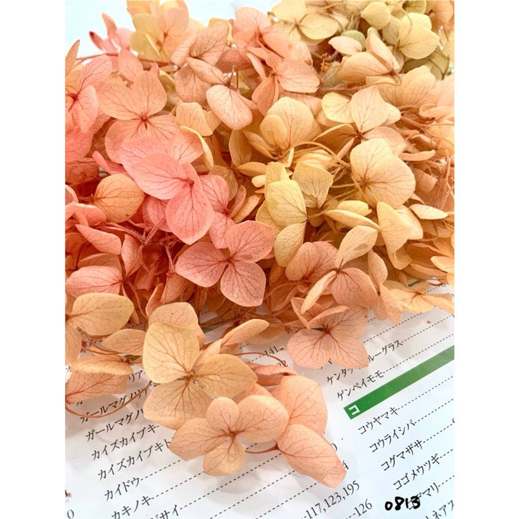 tw-11134207-7r98r-lxk05c3hoftyee