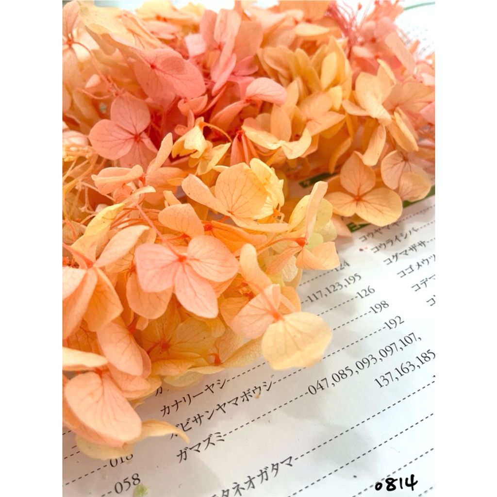 tw-11134207-7r98v-lxk0eh0acv8m74